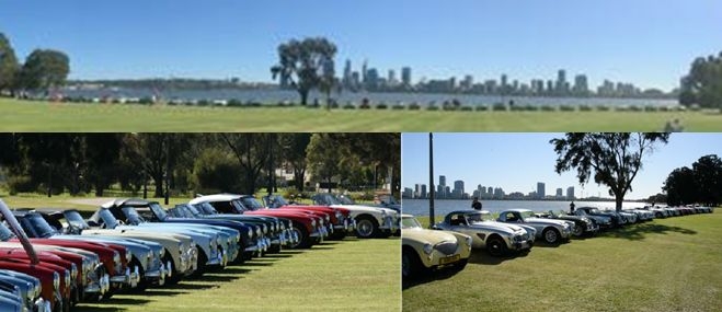 Cars lined up at Sir James Mitchell's park.