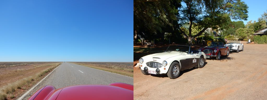 A perfect day to ride a Healey! The highway will never end. Three Healeys resting in the shade.